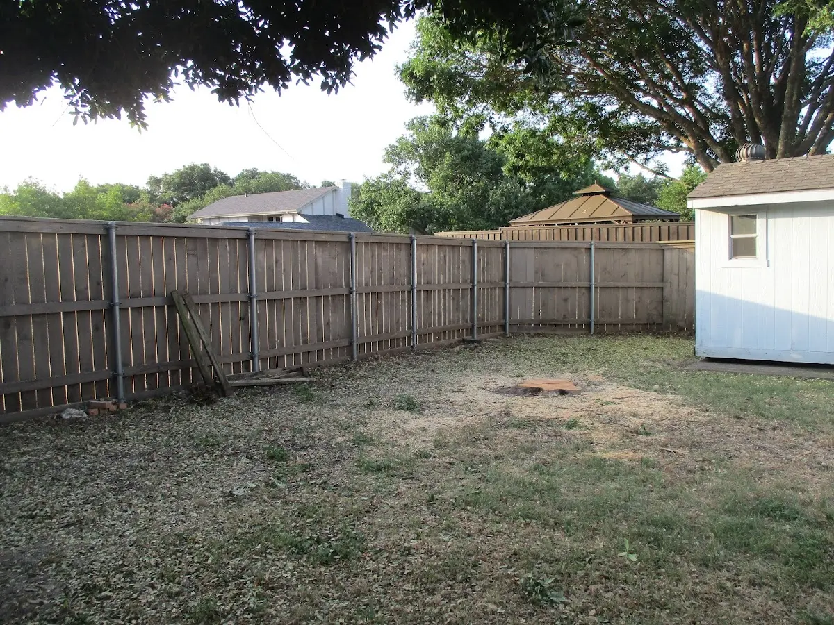 Cleared yard after professional tree removal in Yakutat
